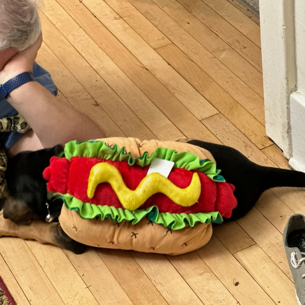 Trail & Noses Hot Dog Costume for Your Dog Size Medium - Picture 7 of 8